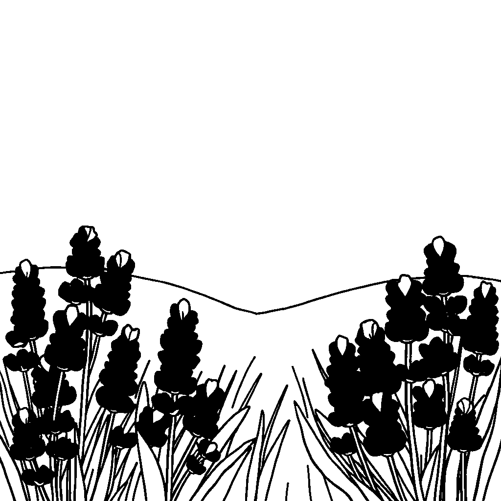 Cute Lavender Field Coloring Page