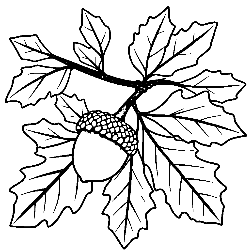 Realistic Acorn And Oak Leaves Coloring Page