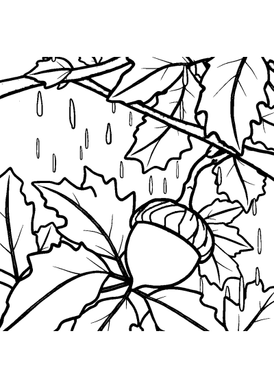 Acorn And Oak Leaves In Rain Coloring Page
