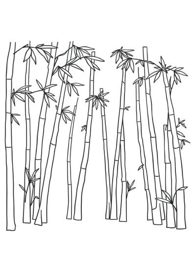 Bamboo Forest Coloring Page