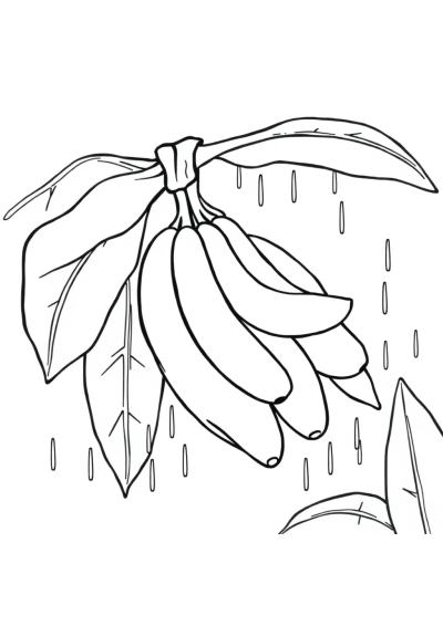 Banana Bunch In Rain Coloring Page