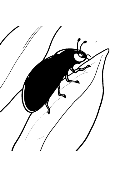 Fierce Ladybug On Leaf Coloring Page