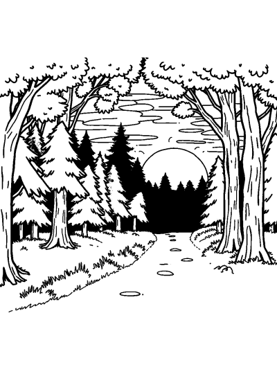 Forest Path At Sunset Coloring Page