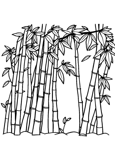 Friendly Bamboo Forest Coloring Page
