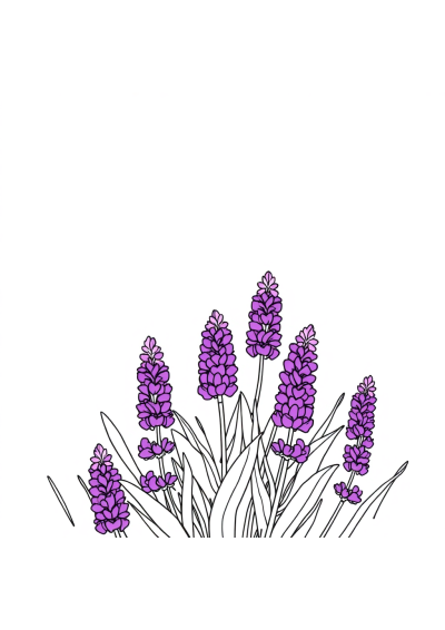 Graceful Lavender Field Coloring Page