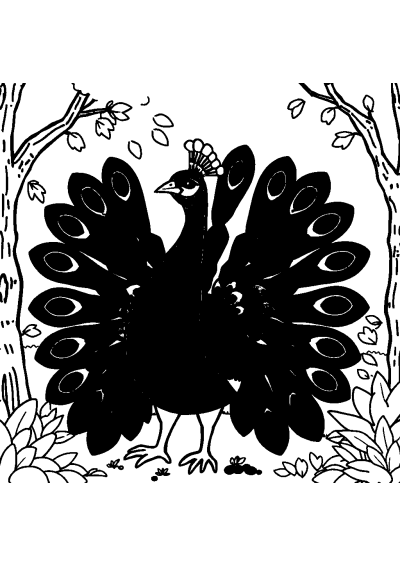 Peacock With Feathers Spread In Forest Coloring Page