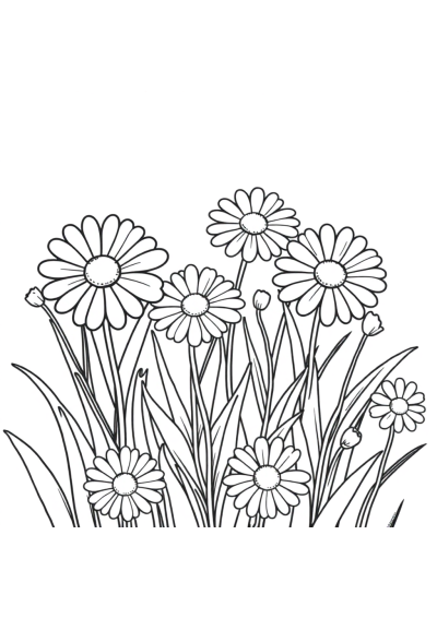 Realistic Daisy Meadow Coloring Page
