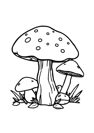 Realistic Mushrooms Coloring Page