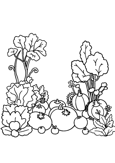 Realistic Vegetable Garden Coloring Page