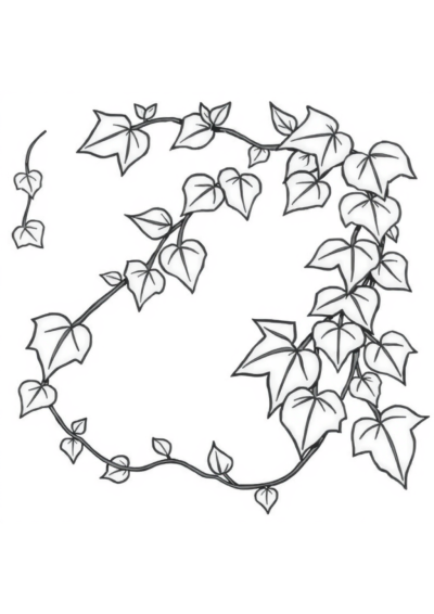 Realistic Vine With Leaves Coloring Page