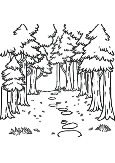 Simple Forest Path Coloring Page