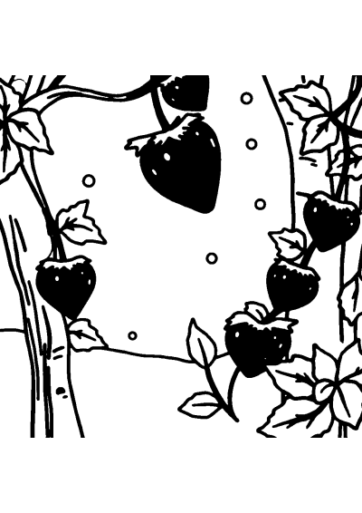 Strawberry In Winter Coloring Page