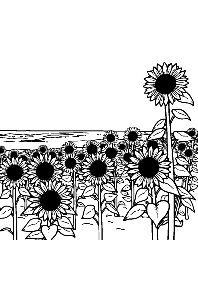 Sunflower Field On Beach Coloring Page