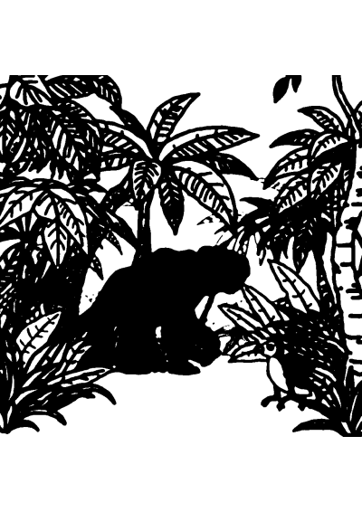 Tropical Jungle In Forest Coloring Page