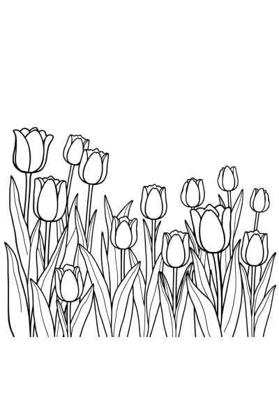 Tulip Garden With Flowers Coloring Page