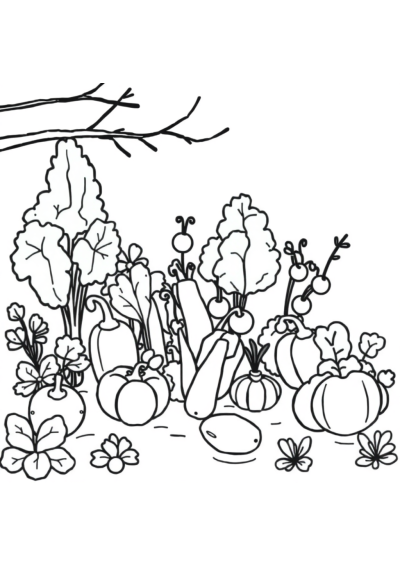 Vegetable Garden In Winter Coloring Page