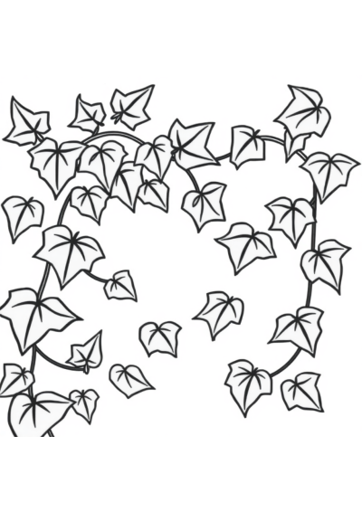 Vine With Leaves Coloring Page