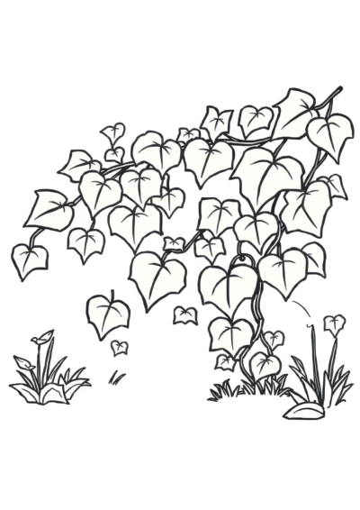 Vine With Leaves In Garden Coloring Page