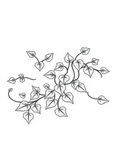 Wild Vine With Leaves Coloring Page