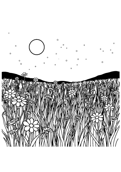 Wildflower Field At Night Coloring Page