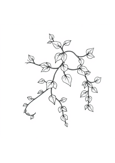 Zentangle Style Vine With Leaves Coloring Page