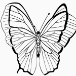 Simple cartoon butterfly drawing with big wings, black and white line art, bold outlines, perfect for coloring enthusiasts.