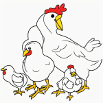 Cartoon chicken and chicks coloring page with bold black outlines and plain white background, designed for kids' creativity and fun.