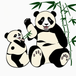 Cartoon panda eating bamboo with bold black outlines on a plain white background, designed as a coloring page for children, in a vector clipart style.