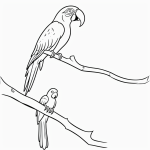 A cartoon-style parrot perched on a branch, outlined in bold black lines, designed as a vector clipart for kids' coloring books on a plain white background.