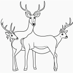 Simple cartoon drawing of a deer with antlers, black and white line art, bold outlines, perfect for a kids' coloring page.