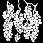 A simple cartoon drawing of a bunch of grapes in black and white line art, featuring bold outlines and no shading, perfect for a coloring page.