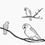 Black and white cartoon drawing of a parrot on a branch, featuring bold outlines and no shading, ideal for coloring and art inspiration.