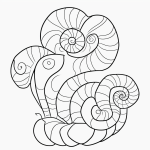 A simple cartoon drawing of a snail with a swirly shell in black and white line art, featuring bold outlines and no shading, perfect for coloring.