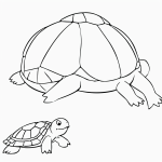 A simple cartoon drawing of a turtle walking slowly in coloring page style, featuring bold outlines and no shading.