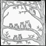 Simple line art of owls sitting on a tree branch at night, perfect for a black and white coloring book page with no shading or color.