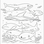 Simple line art of whales swimming with fish and coral, perfect for a coloring book page, featuring black and white outlines with no shading or color.